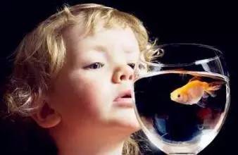 痛经真的能调理好吗,痛经有治愈的吗