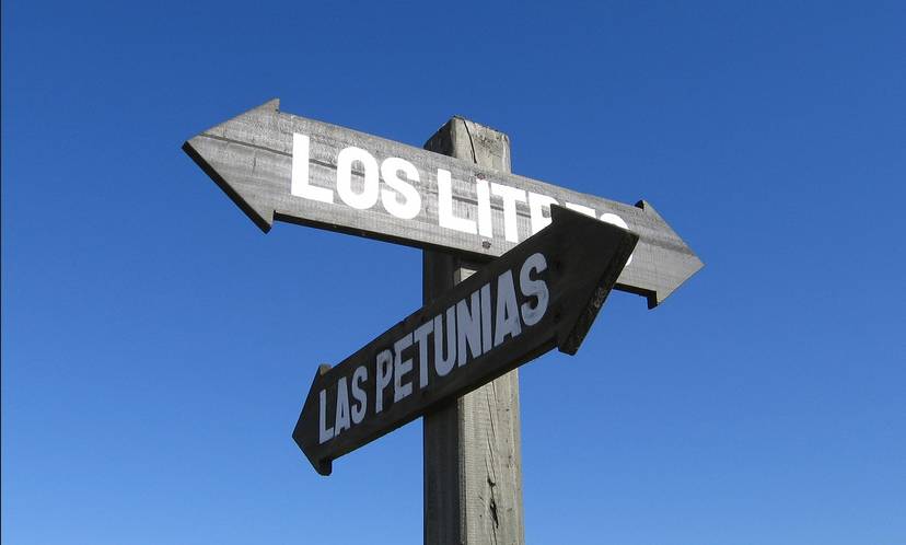 道听途说告诉我们什么道理,学生贯通培养跟分段培养哪个好