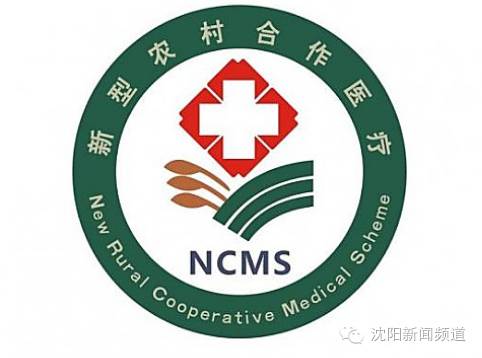 今日沈阳视频,今日看点沈阳