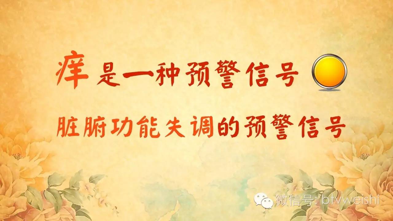 养生堂今日重播,养生堂2020年2月24日养生堂视频
