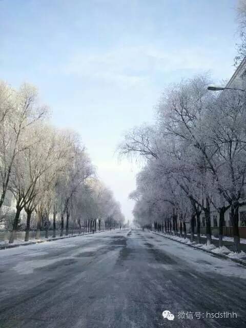 攻略|教你如何在师大刷出SSR