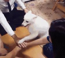 lv真的那么好吗,lv有多时尚