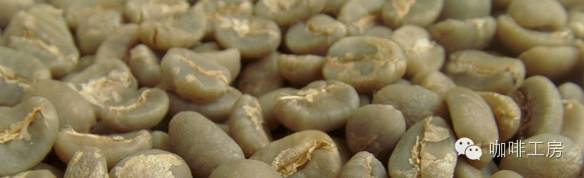 曼特宁和摩卡咖啡区别,鲜咖啡和曼特宁区别