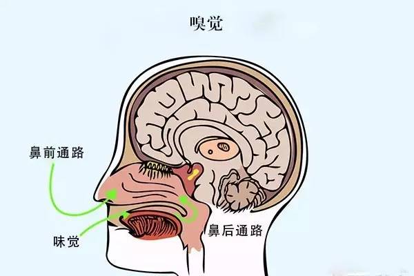辨别酒的真假从哪几个方面入手,教你如何辨别真假酒有啥绝招