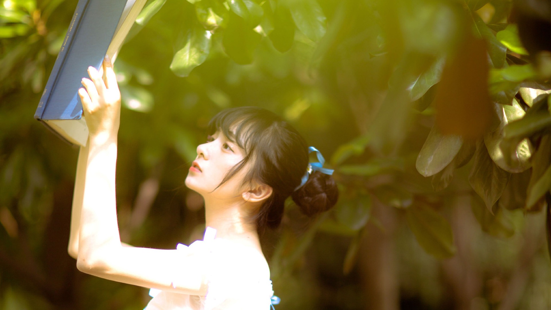 我们为什么忘不了前任,为什么我们总是忘不掉对方