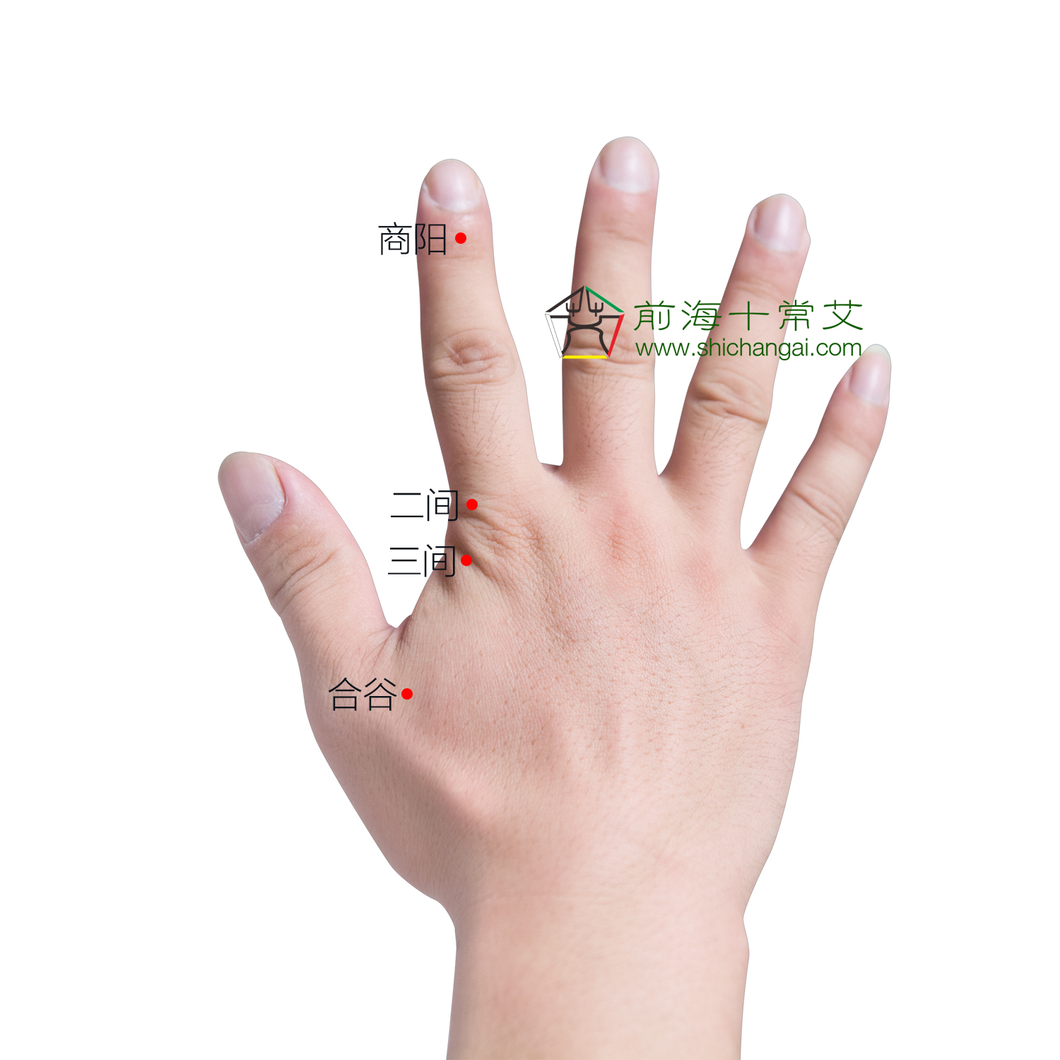 秋天防鼻炎的最佳方法,鼻炎灸艾灸灸什么部位