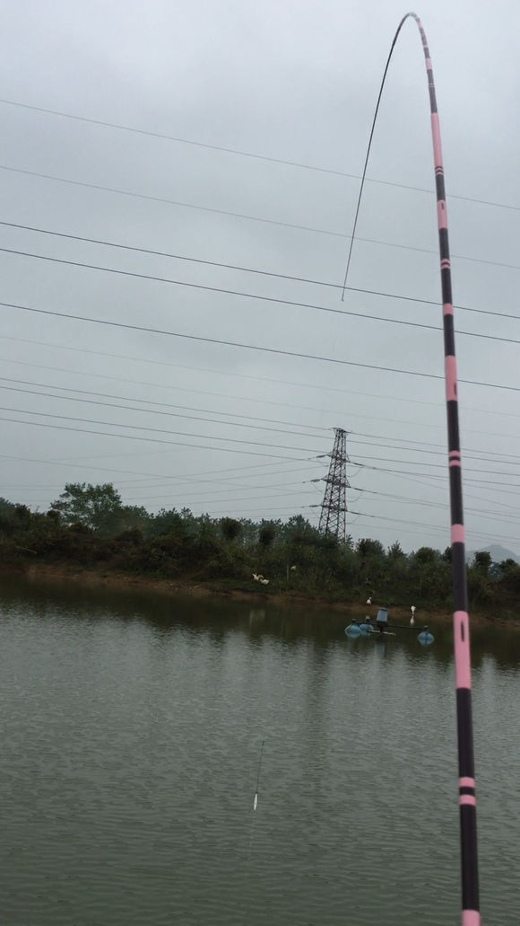 新手钓鱼，用2000的竿子，值不值？