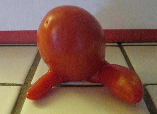 日本二战核辐射是哪个地方,二战期间日本受核武器影响的人