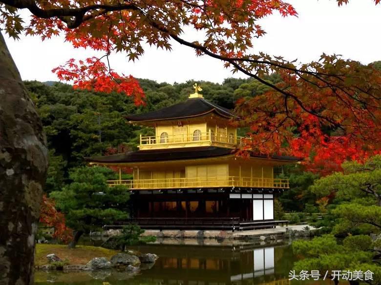 男友不买口红,男友不给你买口红