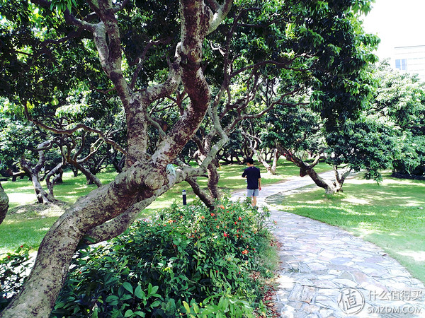 小米5s怎么样,小米s55对比小米555