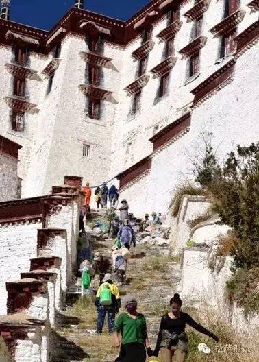 布达拉宫粉墙时间,布达拉宫一年一度的刷墙日