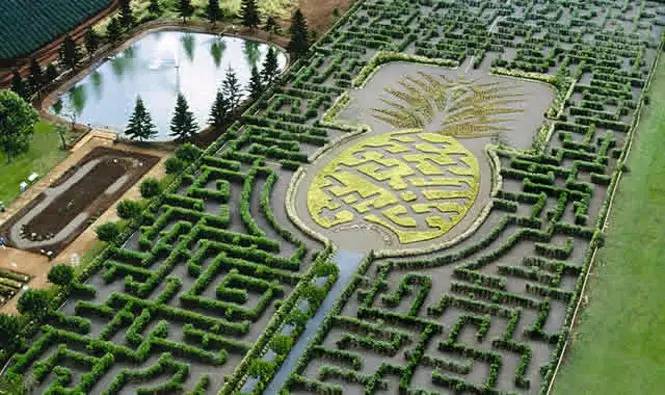 夏威夷旅行地,最全的夏威夷旅游攻略快来看这里