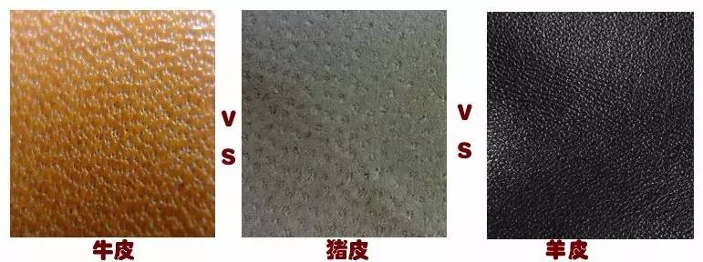 怎么辨别皮革的真假,皮革分类以及辨别标准