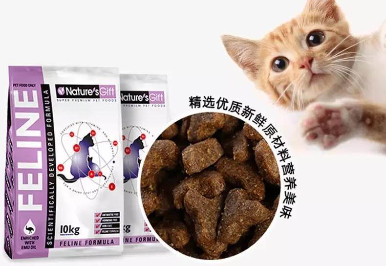 猫粮推荐最好的,2岁的猫咪适合吃什么猫粮