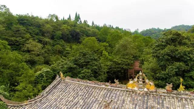 老峨山风景,从上帝视角看人的一生