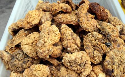 早期肝硬化中西医结合可以逆转吗,治疗肝硬化中医好还是西医好