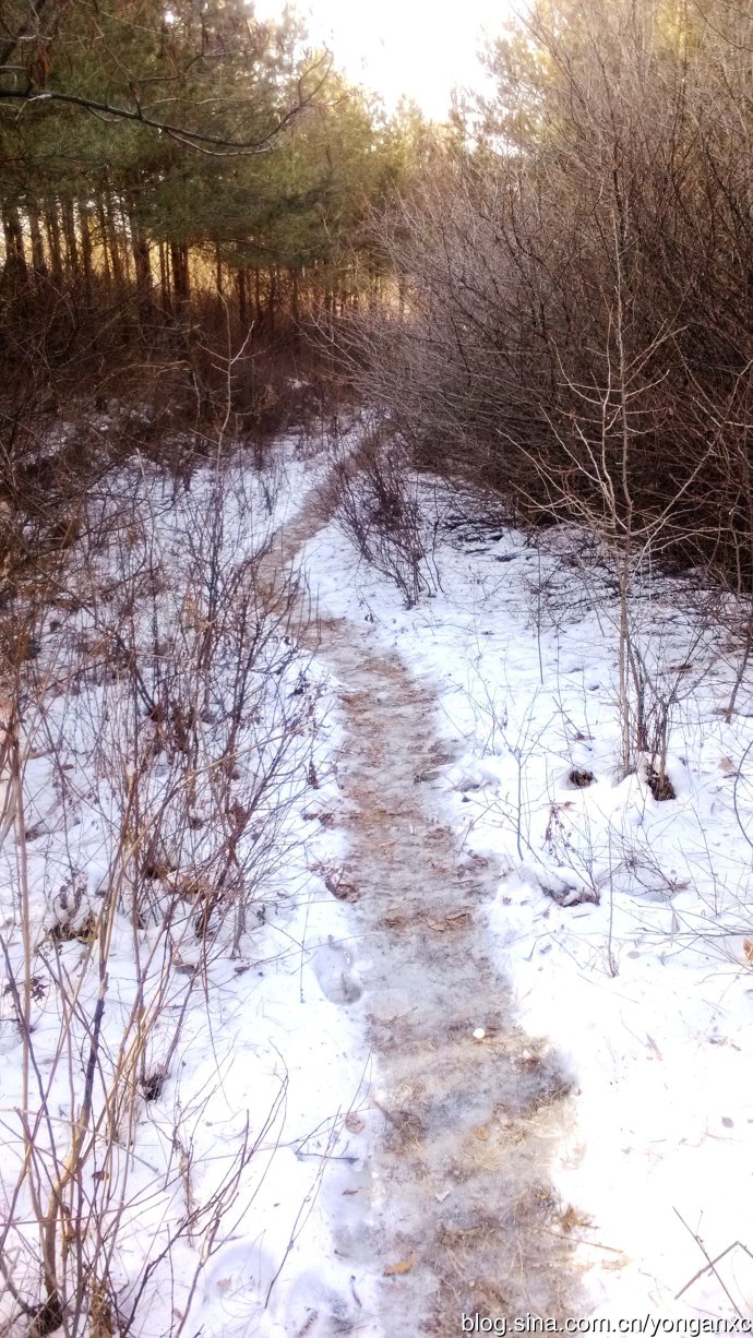 璧伴亶杈藉畞闉嶅北,璧伴亶杈介槼