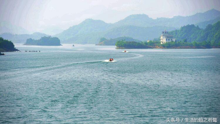 我的家乡崇阳市,家乡美我的故乡原唱