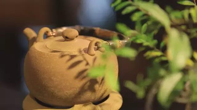 新手泡茶的正确方法和技巧,泡茶要怎么泡才是正确的