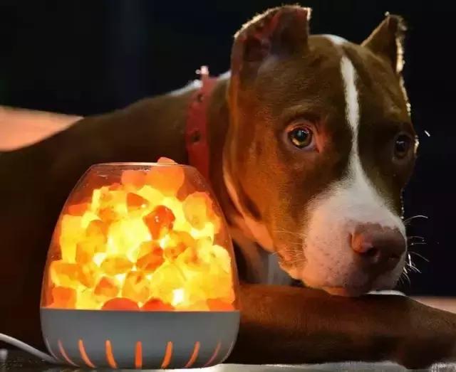 点一盏盐灯，安抚那些说不出的慌张｜生活家