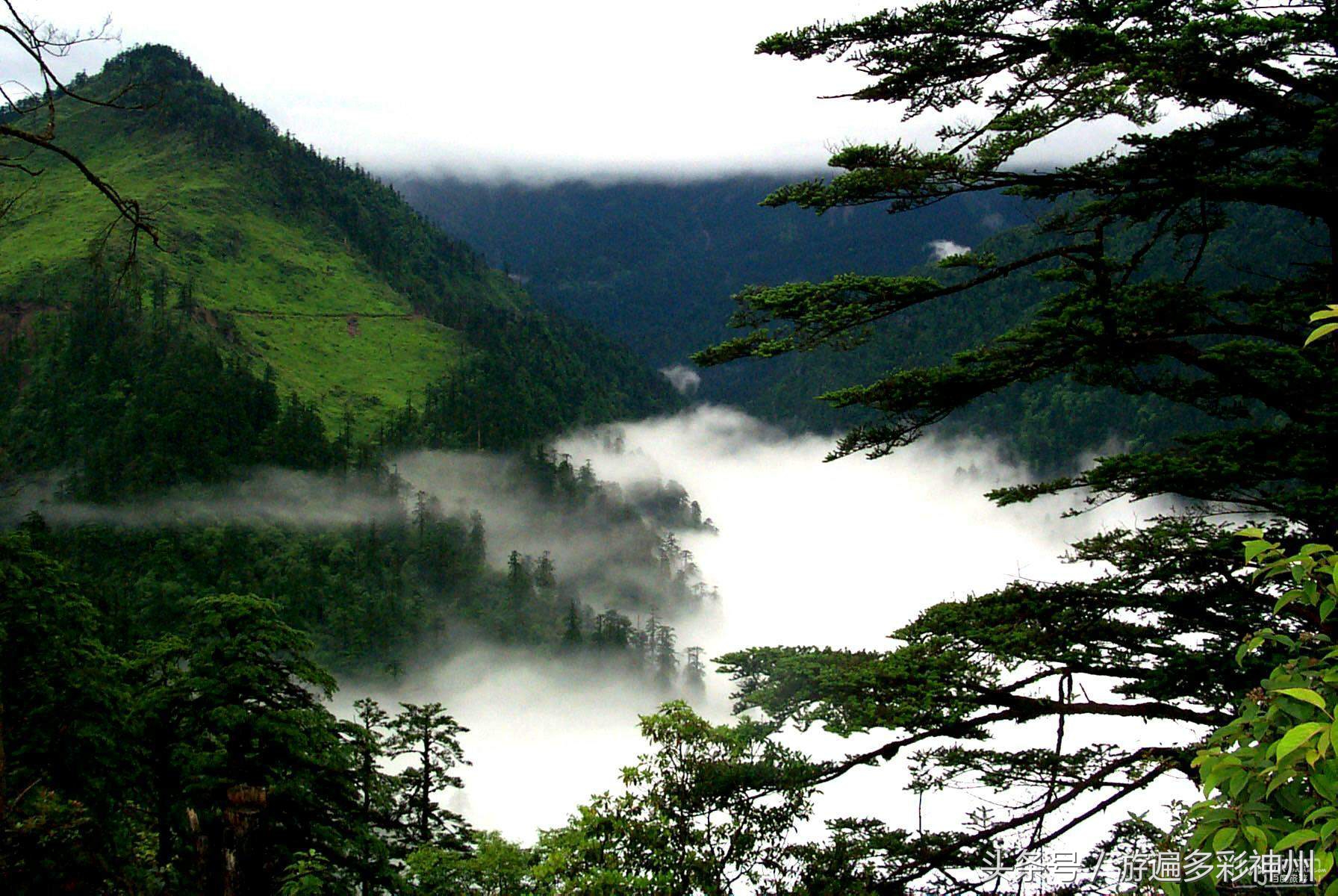 浜氭床娴锋,棣欏浗娴锋