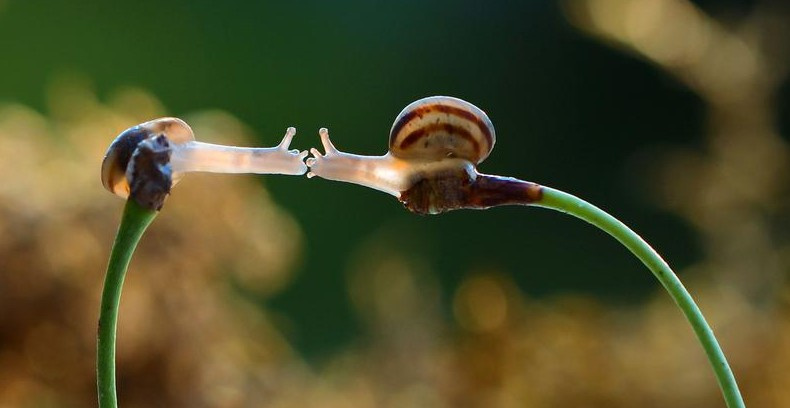 一分钟去除吻痕的方法,去除吻痕的妙招