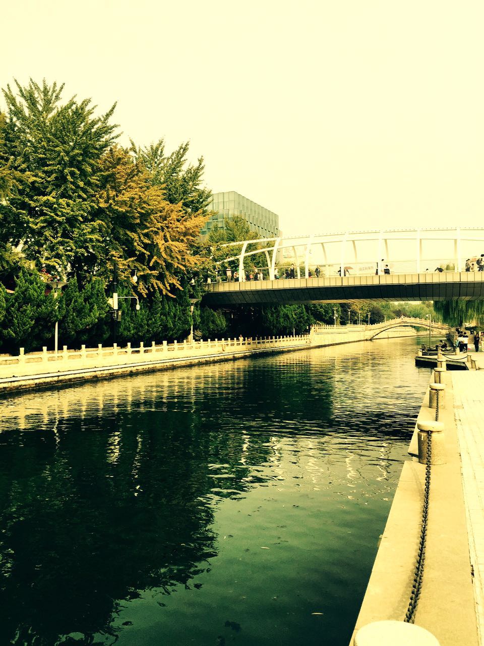 如何才能成为海底捞店长,如何成为海底捞优秀店长