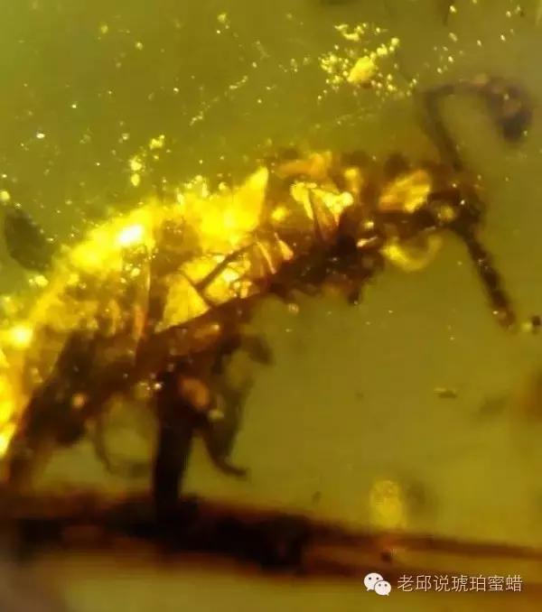 鎭掑疄鑰侀偙,鎭掑疄鐞ョ弨鑰侀偙鐩存挱