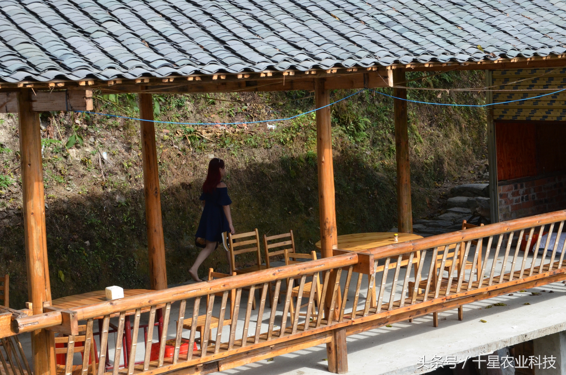 龙胜瑶族大寨龙脊梯田，原创拍摄几十图，有美女出镜哦！