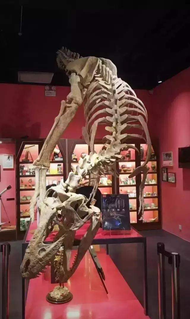 七宝万科广场新发现,上海七宝万科广场都有什么