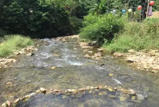 一个隐匿的世外桃源,一间隐藏在市区民宿