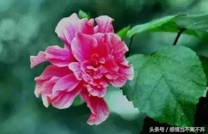 打工幽默顺口溜句子,卖货搞笑顺口溜经典句子