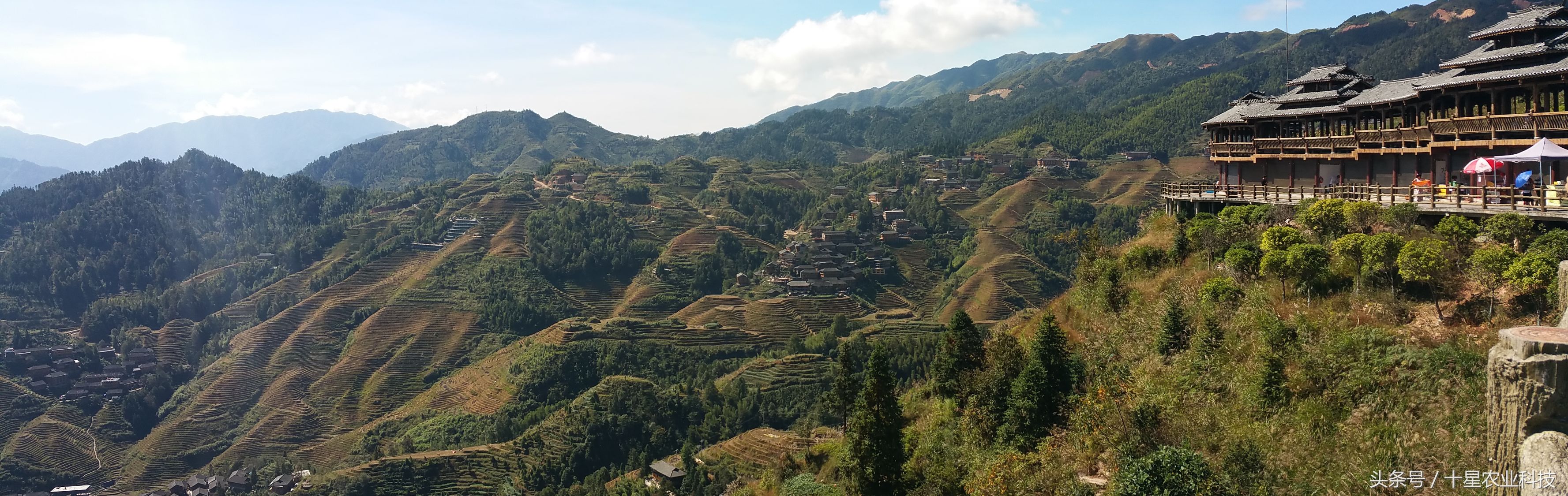 龙胜瑶族大寨龙脊梯田，原创拍摄几十图，有美女出镜哦！