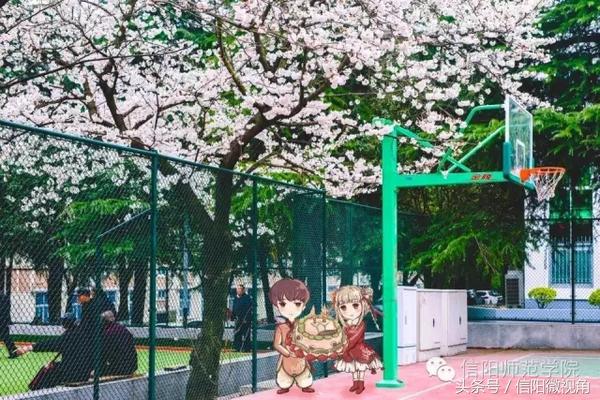 中国最美的大学之一,信阳师院41岁啦