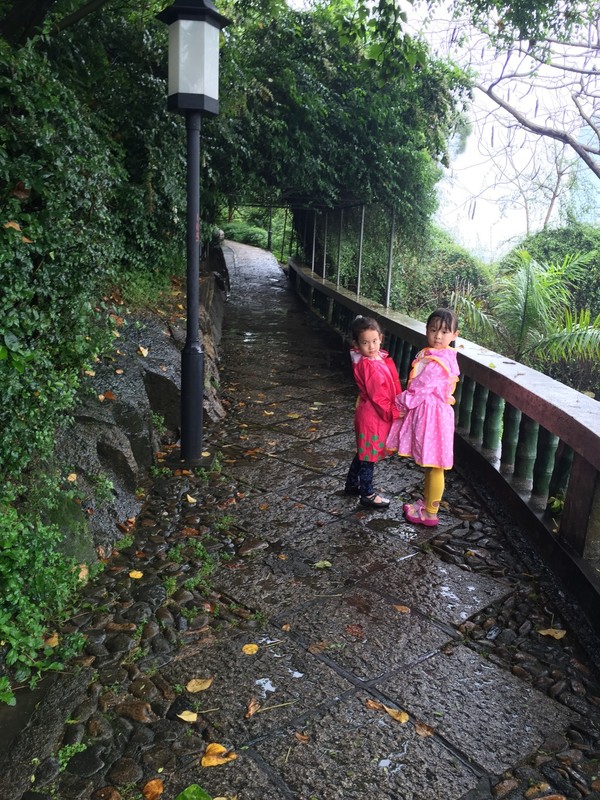 两大两小的厦门四日游