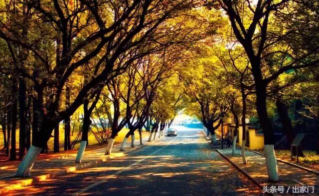 “乐活”青岛,“山居”生活,附上青岛必游之地和住宿指南!