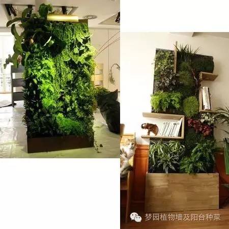 移动植物墙,墙体移动屏风