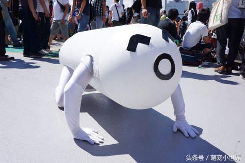 专程去动物园看兔狲,去动物园看牛马