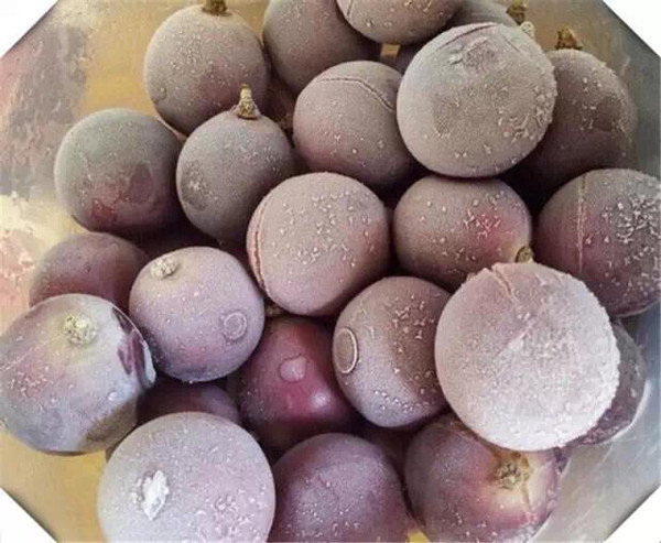 美食攻略吃货必备,美食攻略私房菜