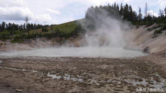 在美国旅游视频教学,美国自由行自驾游