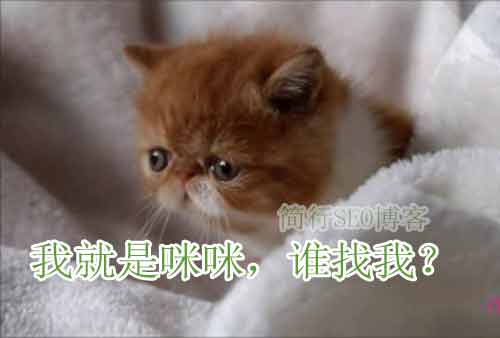 如何修改网站标题,网站分类标题修改