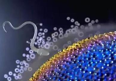 孕期脚浮肿生女孩吗,孕妇脚肿不肿与怀男孩女孩有关么