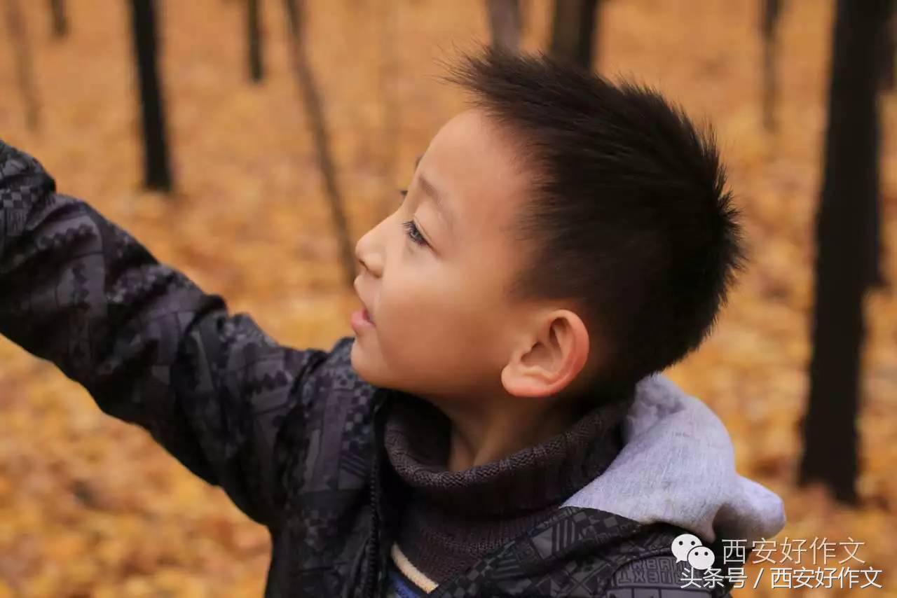 唐苑秋日落英缤纷一张旧照饱含亲情,听娃讲作文