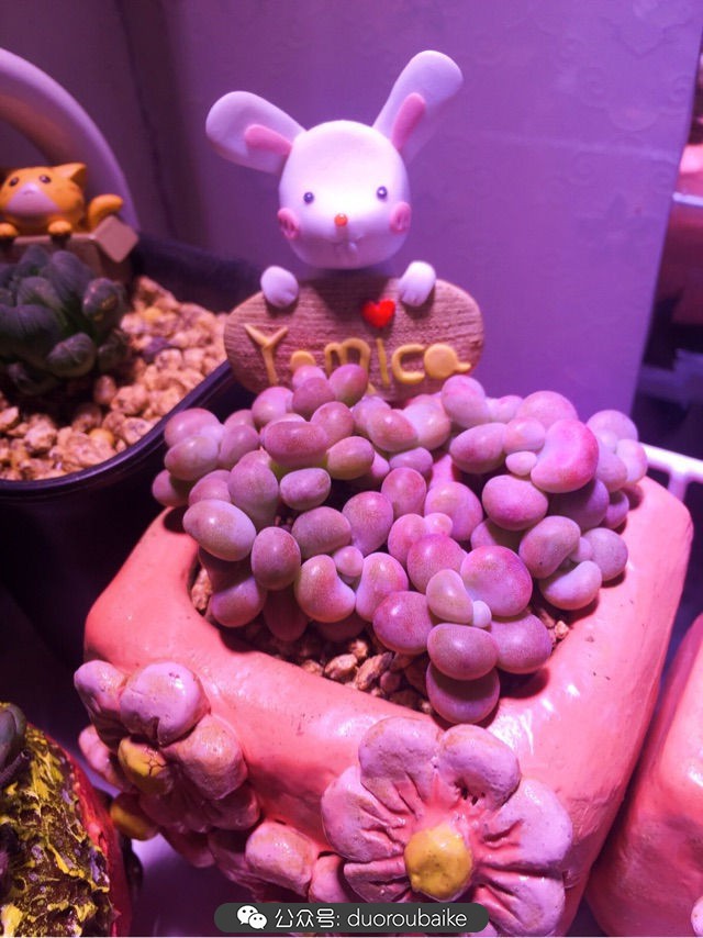 谈谈我对自己的看法,谈谈我对恋爱的看法