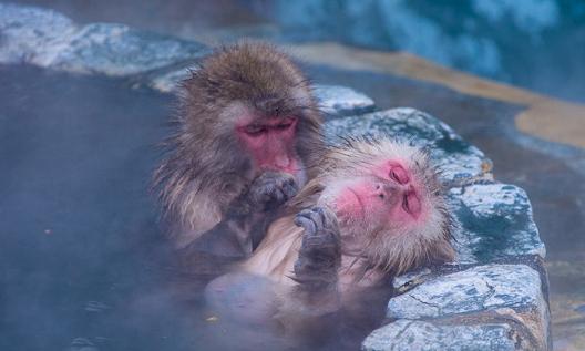 天气转冷的温泉,天气冷了泡温泉
