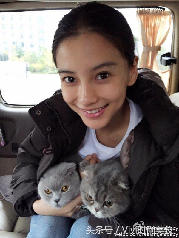 最美猫奴争夺战!铲屎官范冰冰、baby撞衫猫咪洋装谁出彩?