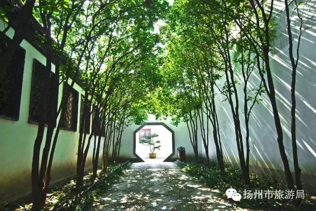 明日立冬,扬州最美的秋景都在这里啦!