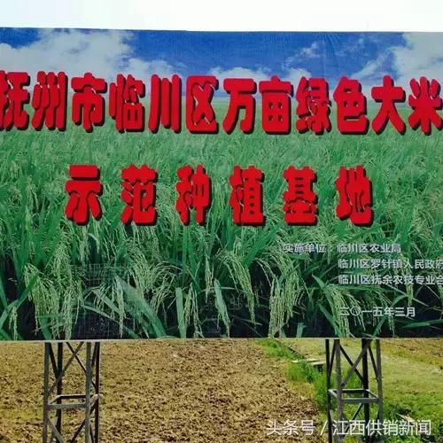 抚余农技专业合作社“念”出为农服务“真经”