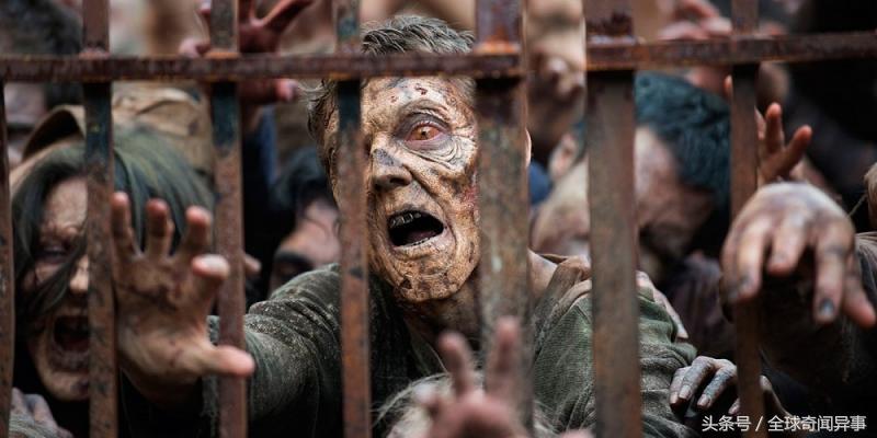 丧尸大电影都有哪些,关于丧尸的电影都有哪些