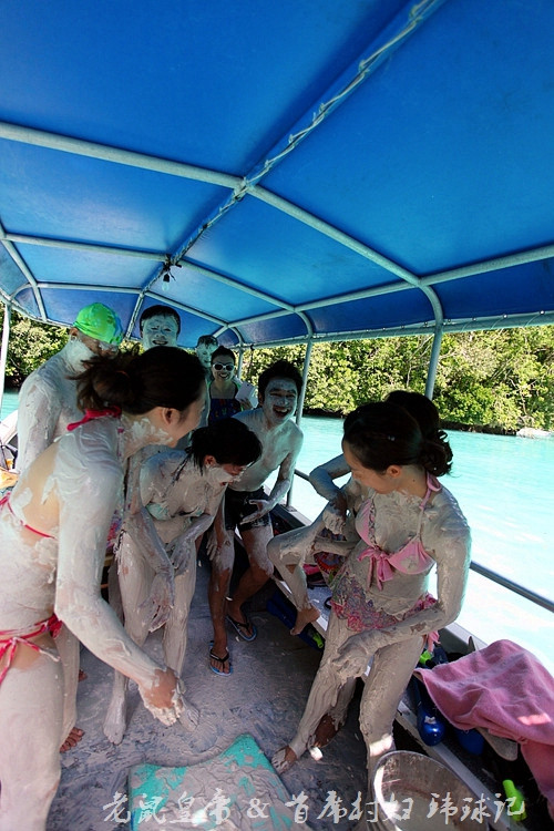 帕劳海底世界完整视频,帕劳潜水遇到的海底生物